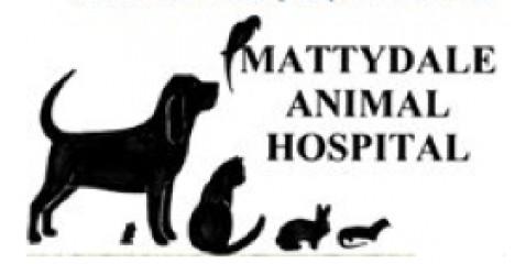 Mattydale Animal Hospital (1228557)